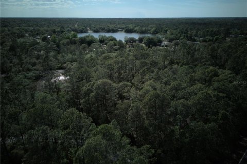 Terreno en venta en Ocklawaha, Florida № 2221218 - foto 14