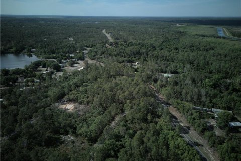 Terreno en venta en Ocklawaha, Florida № 2221218 - foto 8