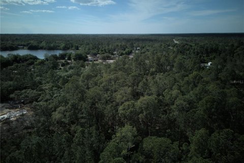 Terreno en venta en Ocklawaha, Florida № 2221218 - foto 13