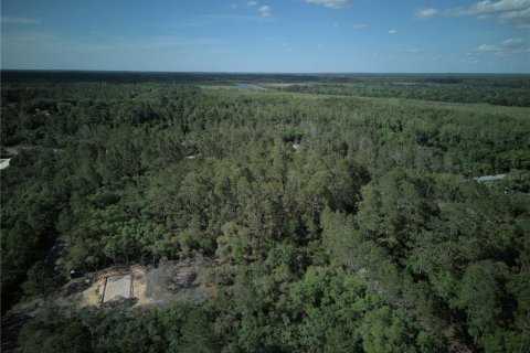 Terreno en venta en Ocklawaha, Florida № 2221218 - foto 11