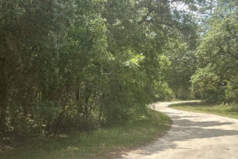 Land in Interlachen, Florida № 767130 - photo 1