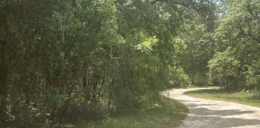 Land in Interlachen, Florida № 767130