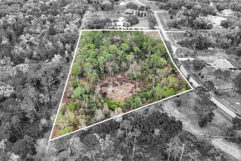 Land in Tavares, Florida № 1720042 - photo 7