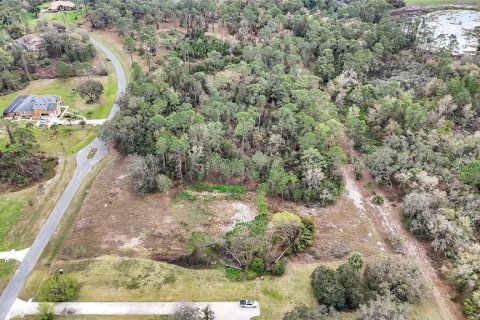 Land in Tavares, Florida № 1720042 - photo 11