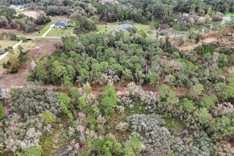 Land in Tavares, Florida № 1720042 - photo 9