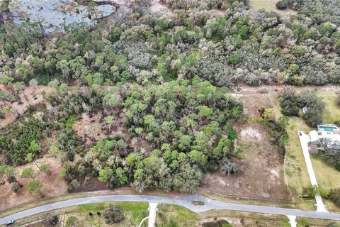 Land in Tavares, Florida № 1720042 - photo 20