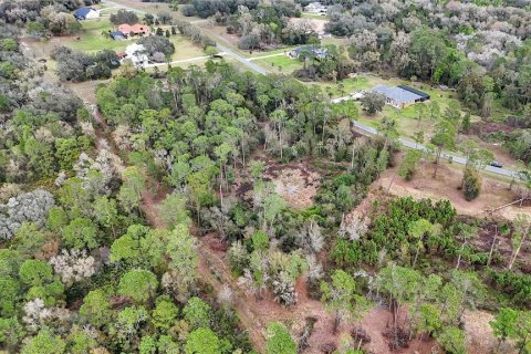 Land in Tavares, Florida № 1720042 - photo 8