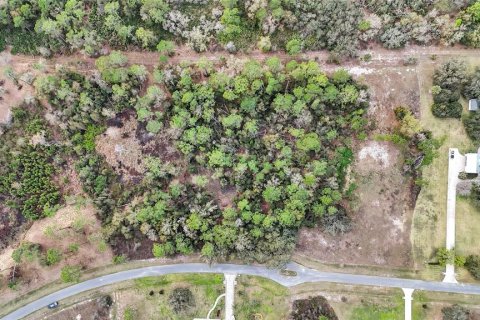 Land in Tavares, Florida № 1720042 - photo 22