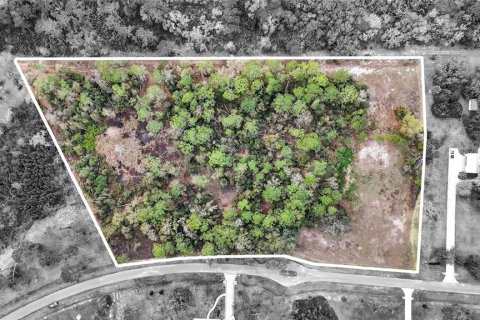 Land in Tavares, Florida № 1720042 - photo 23