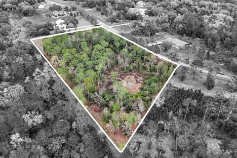 Land in Tavares, Florida № 1720042 - photo 1