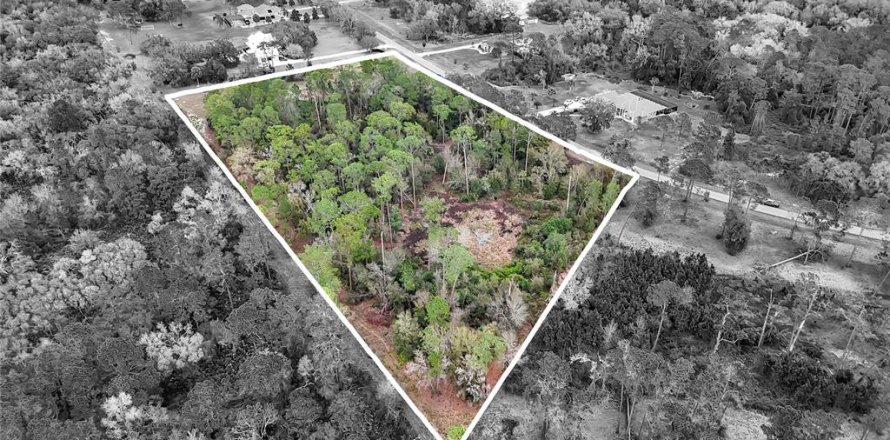 Land in Tavares, Florida № 1720042