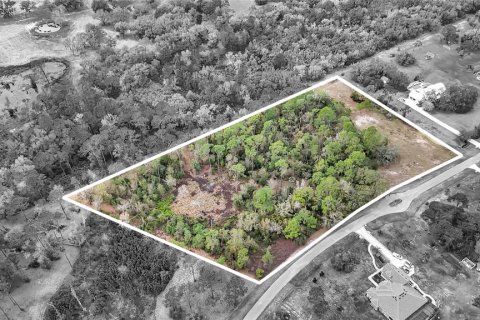 Land in Tavares, Florida № 1720042 - photo 2