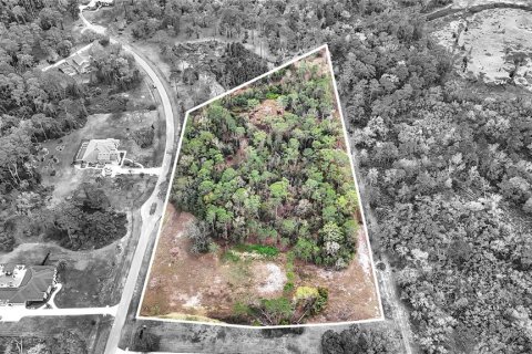 Land in Tavares, Florida № 1720042 - photo 19