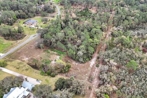 Land in Tavares, Florida № 1720042 - photo 10