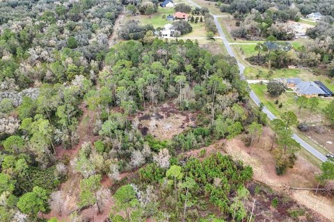 Land in Tavares, Florida № 1720042 - photo 6