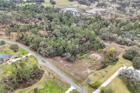 Land in Tavares, Florida № 1720042 - photo 12