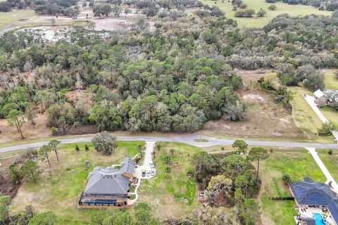Land in Tavares, Florida № 1720042 - photo 3