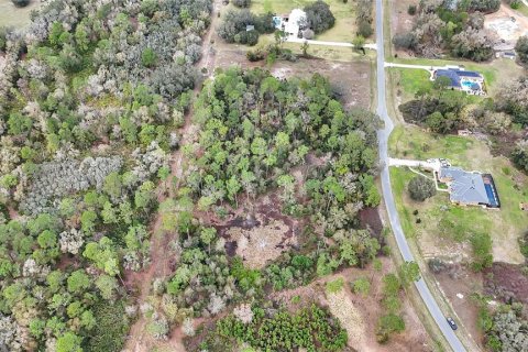 Land in Tavares, Florida № 1720042 - photo 16