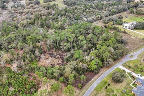 Land in Tavares, Florida № 1720042 - photo 5
