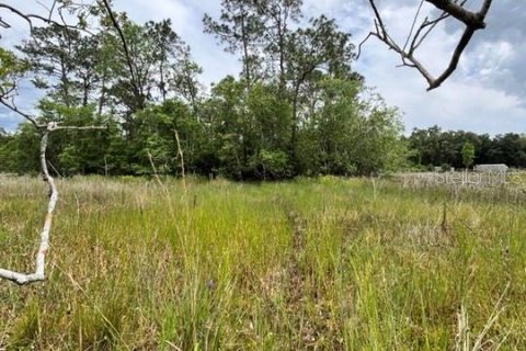 Terrain à vendre à Ocklawaha, Floride № 1192269 - photo 26