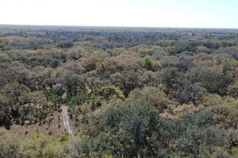 Terrain à vendre à Spring Hill, Floride № 1719554 - photo 21