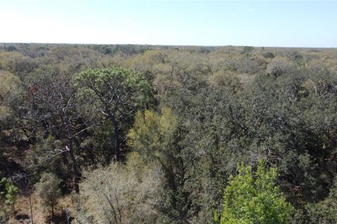 Terrain à vendre à Spring Hill, Floride № 1719554 - photo 23