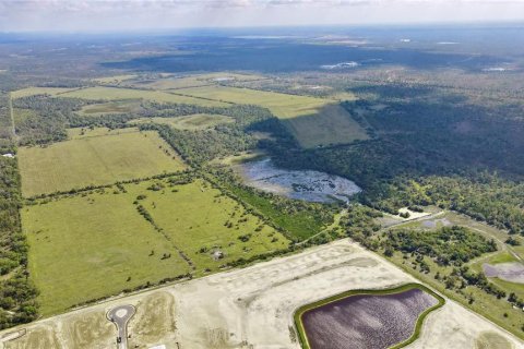 Land in Punta Gorda, Florida № 2104218 - photo 7