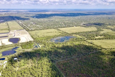 Land in Punta Gorda, Florida № 2104218 - photo 4
