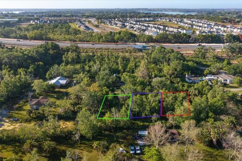 Land in Winter Garden, Florida № 392090 - photo 6