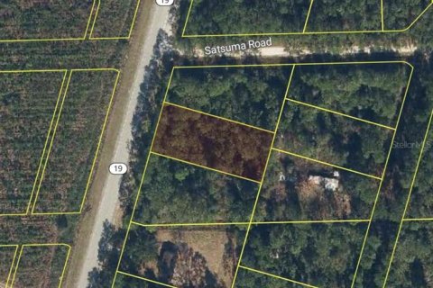 Land in Palatka, Florida № 2162370 - photo 2