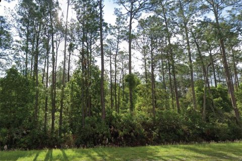 Land in Palatka, Florida № 2162370