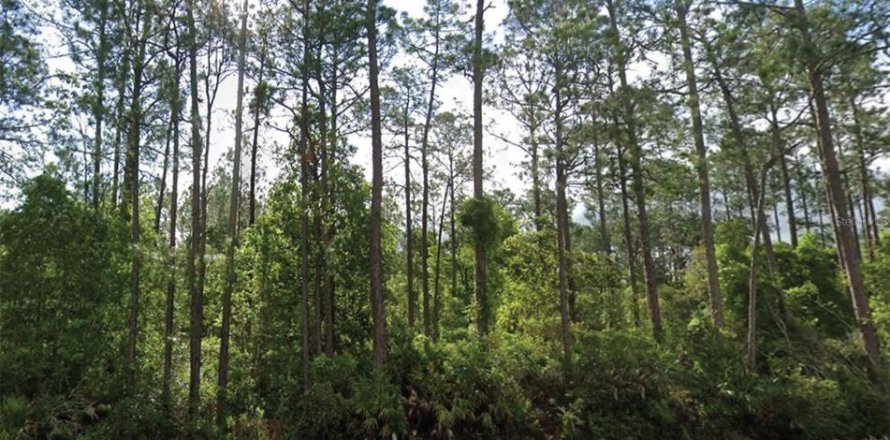 Land in Palatka, Florida № 2162370