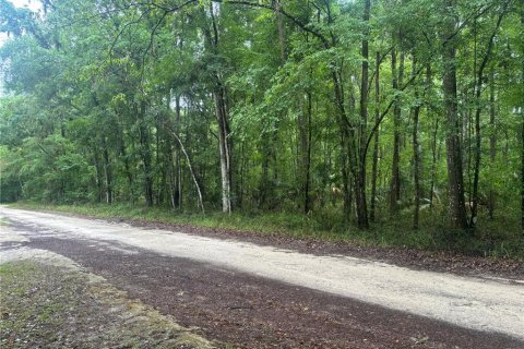 Land in Ocala, Florida № 2161665
