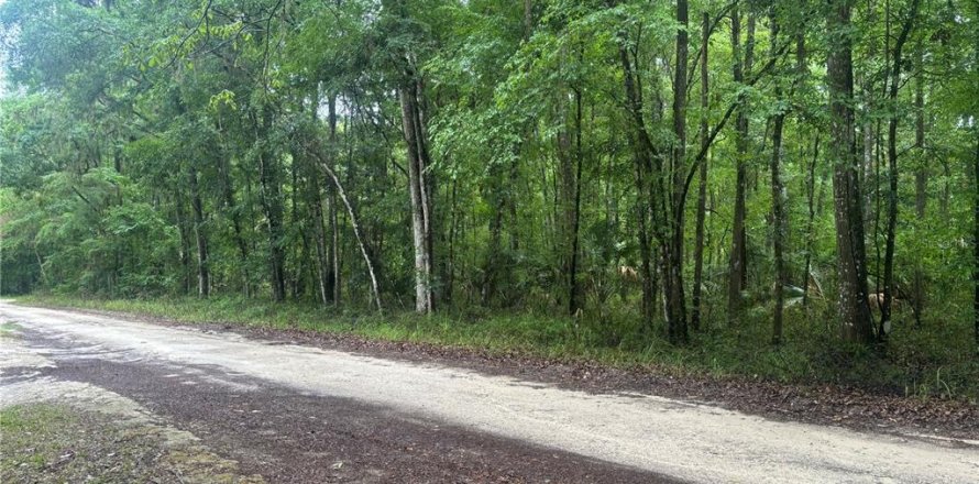 Land in Ocala, Florida № 2161665