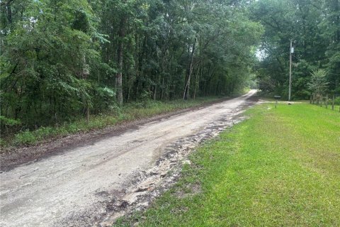 Land in Ocala, Florida № 2161665 - photo 2