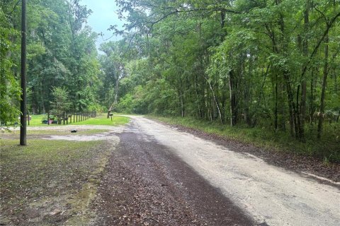Land in Ocala, Florida № 2161665 - photo 4