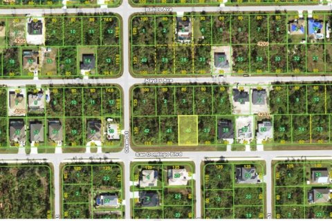 Land in Port Charlotte, Florida № 2161924