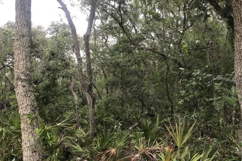 Terreno en venta en Webster, Florida № 1768021 - foto 9