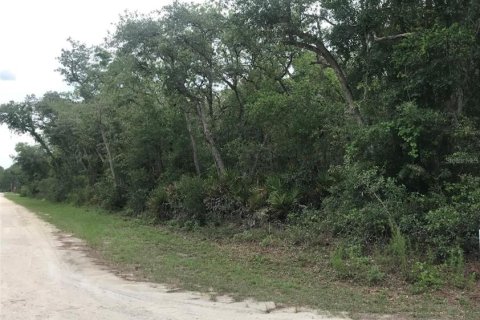 Terreno en venta en Webster, Florida № 1768021 - foto 2