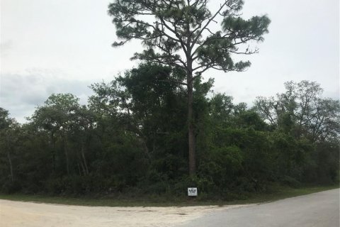 Terreno en venta en Webster, Florida № 1768021 - foto 10