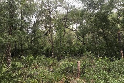 Terreno en venta en Webster, Florida № 1768021 - foto 7