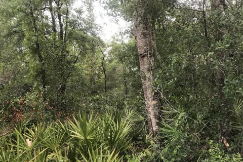 Terreno en venta en Webster, Florida № 1768021 - foto 6