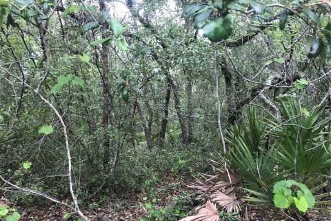 Terreno en venta en Webster, Florida № 1768021 - foto 3