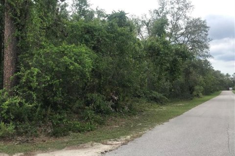 Terreno en venta en Webster, Florida № 1768021 - foto 1