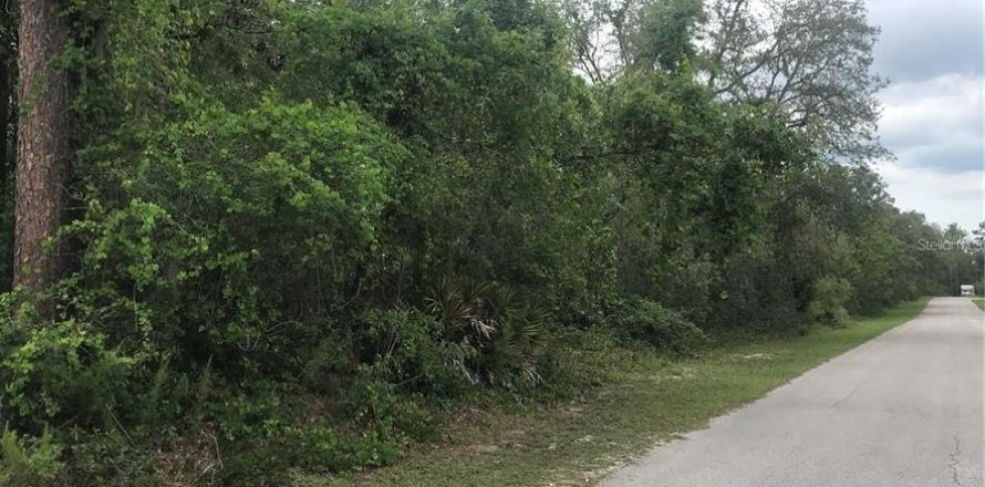Terreno en Webster, Florida № 1768021