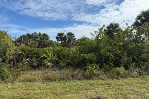 Land in Port Charlotte, Florida № 2166675 - photo 10