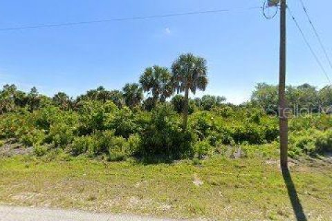 Land in Port Charlotte, Florida № 2166675 - photo 2