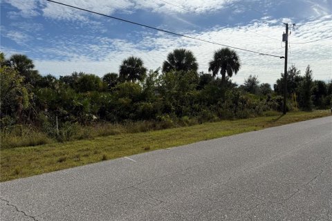 Land in Port Charlotte, Florida № 2166675 - photo 7