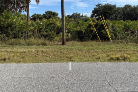 Land in Port Charlotte, Florida № 2166675 - photo 13
