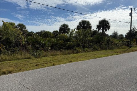 Land in Port Charlotte, Florida № 2166675 - photo 11